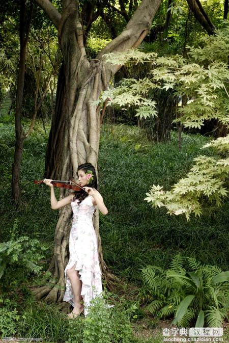 Photoshop 森林深处的梦幻精灵1