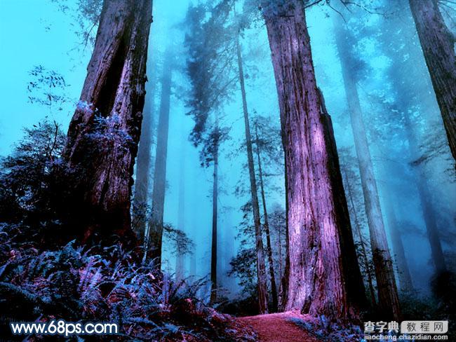 Photoshop制作暗调蓝紫色的森林图片2