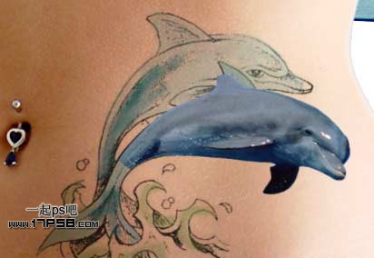photoshop制作出漂亮的海豚立体纹身效果11