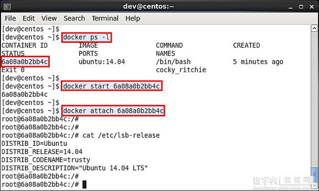 在CentOS或Fedora上运行Docker容器的方法与步骤2