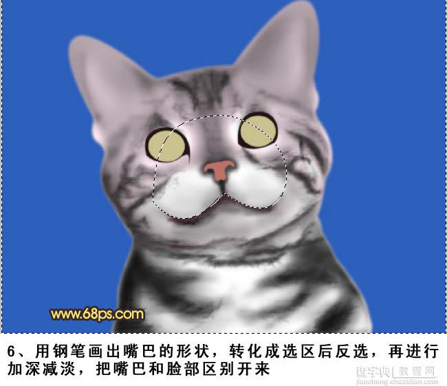 PS将鼠绘出神态逼真可爱的小灰猫7