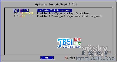 FreeBSD 6.2架设网站服务器教程图解5