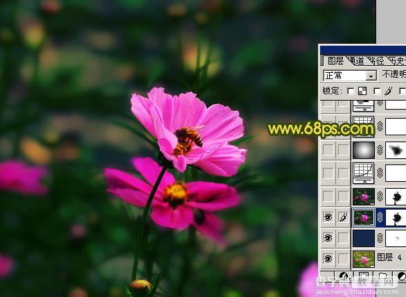 Photoshop 斑斓的花朵图片实现方法14