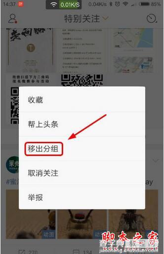 新浪微博手机端怎么取消特别关注 微博app取消特别关注教程2