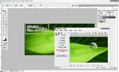 Photoshop将制作出漂亮绿叶上的水珠6