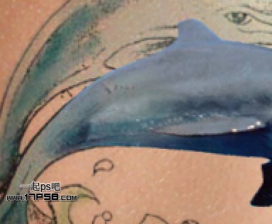 photoshop制作出漂亮的海豚立体纹身效果14