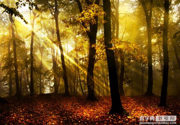 Photoshop为树林图片添加上高清的投射光束效果11