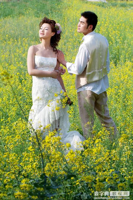 Photoshop制作柔和的金色花朵背景婚片1