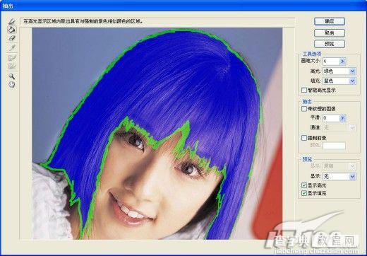 Photoshop教程:MM头发的润色及调色6