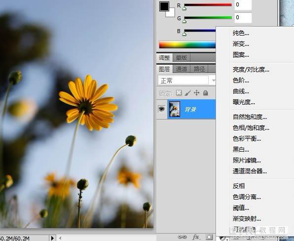 photoshop利用纯色图层快速打造中性蓝黄色花朵图片3