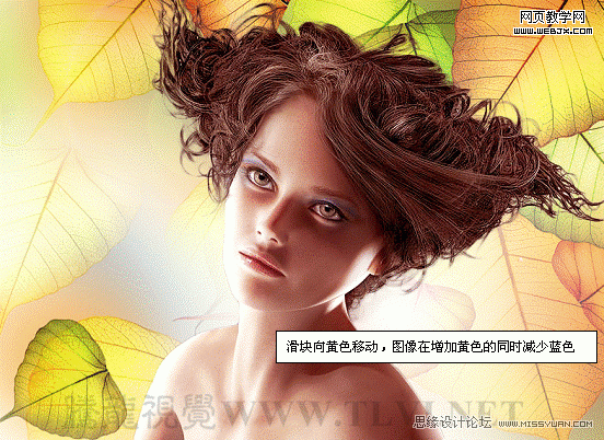 PS入门教程:用色彩平衡命令调整图片色彩的制作方法8