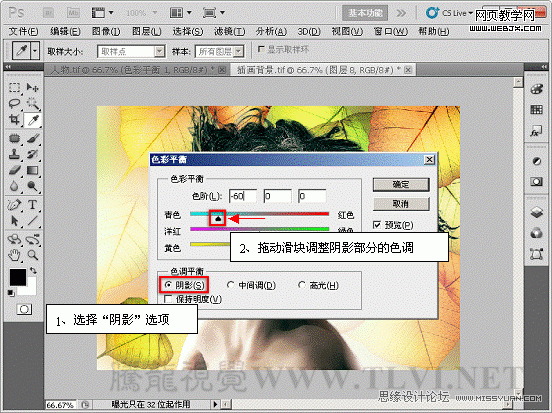 PS入门教程:用色彩平衡命令调整图片色彩的制作方法9