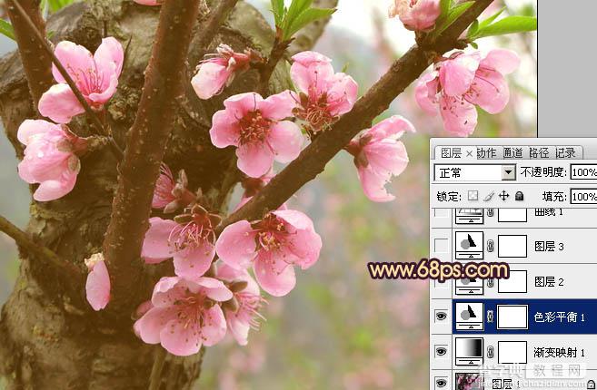 Photoshop调出桃花图片漂亮的粉红色8