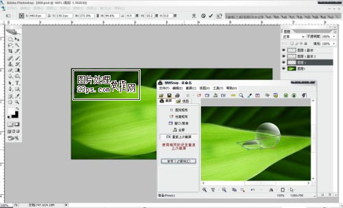 Photoshop将制作出漂亮绿叶上的水珠7