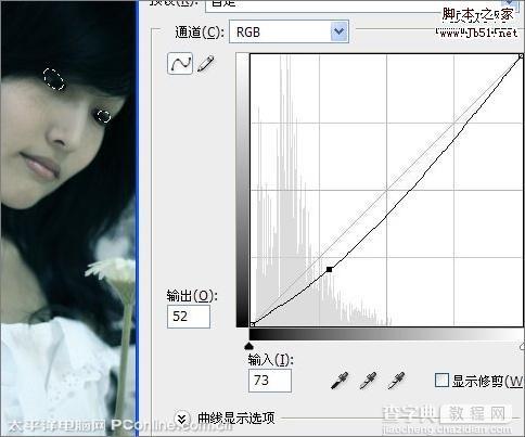 Photoshop 图片调成冷艳忧郁色调8