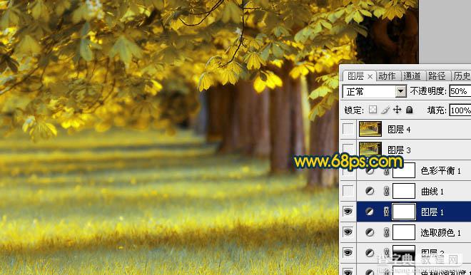Photoshop将绿荫树林图片调成灿烂的金色调10