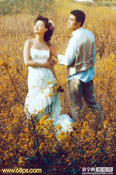 Photoshop制作柔和的金色花朵背景婚片2