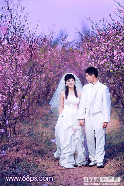Photoshop将桃林婚片调成艳丽的紫红色25
