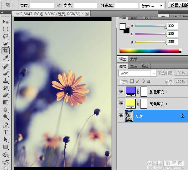 photoshop利用纯色图层快速打造中性蓝黄色花朵图片11