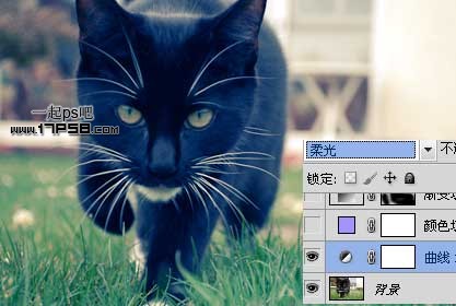 photoshop将可爱的猫咪图片打造出复古老照片效果4
