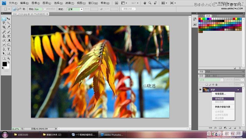 photoshop在LAB模式下通过曲线调整秋季摄影图片效果实例教程13