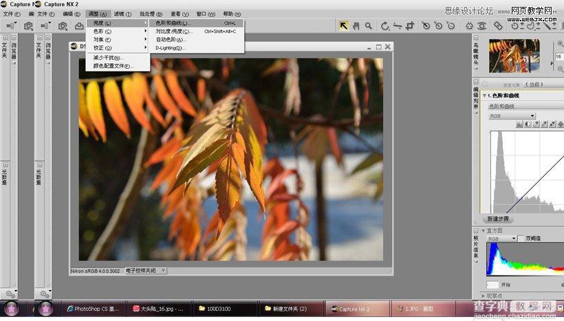 photoshop在LAB模式下通过曲线调整秋季摄影图片效果实例教程4