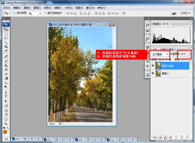Photoshop快速为树林图片增加艳丽的秋季色效果4