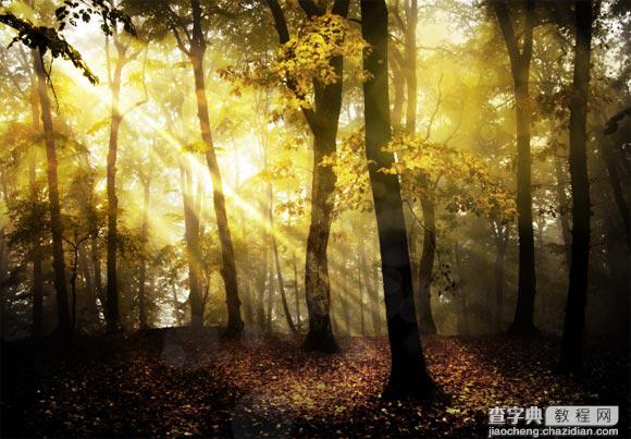 Photoshop为树林图片添加上高清的投射光束效果16