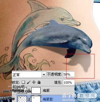 photoshop制作出漂亮的海豚立体纹身效果17