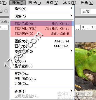 photoshop将蜥蜴与河马合制成一种动物的效果10