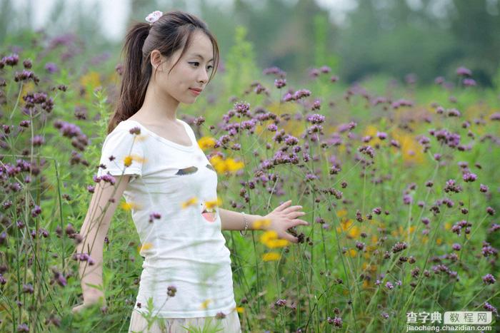 Photoshop为野花中的美女加上小清新的粉黄色1
