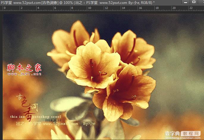 Photoshop将花卉特写图片打造具有古典韵味的黄褐色效果27