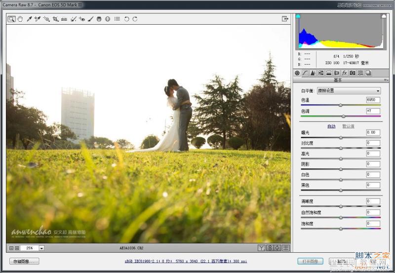 Photoshop调出外景婚片小清新色调的效果图3
