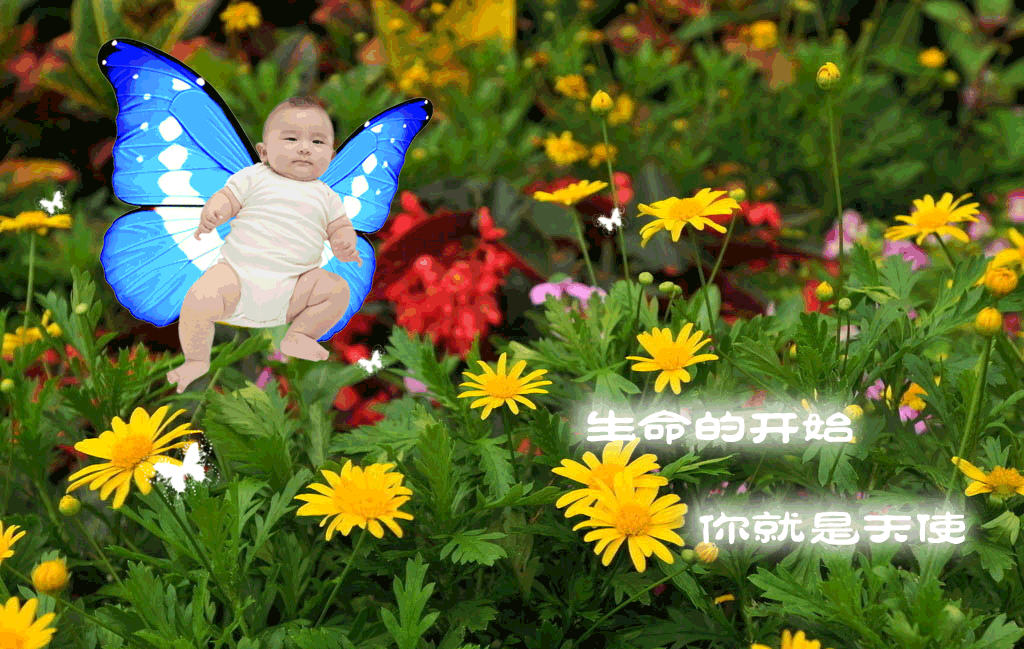 photoshop为宝宝写真照增加动态蝴蝶翅膀特效1