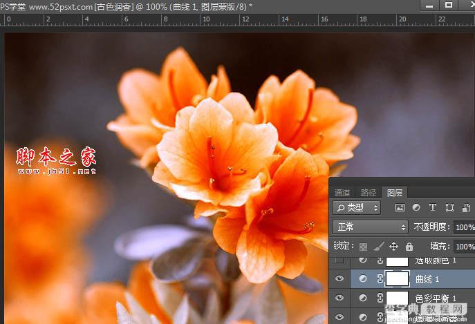 Photoshop将花卉特写图片打造具有古典韵味的黄褐色效果11