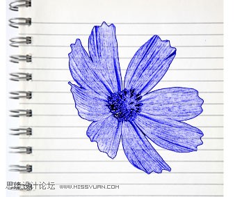 Photoshop简单制作逼真漂亮的蓝色圆珠笔手绘花朵效果图1