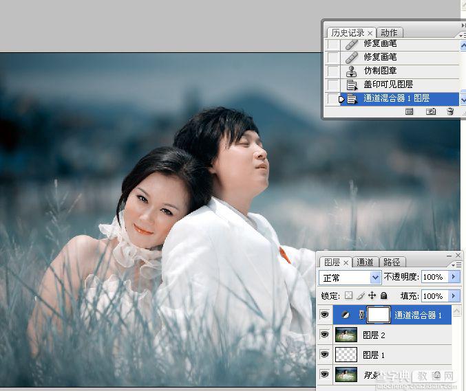 Photoshop将草丛中的婚片打造出浪漫的暗调蓝紫色效果6