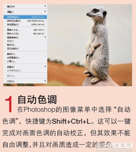 Photoshop CS6教你在JPEG文件格式下进行色彩校正3