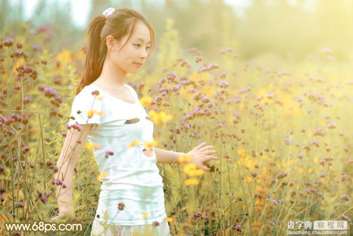 Photoshop为野花中的美女打造出唯美的粉黄色2