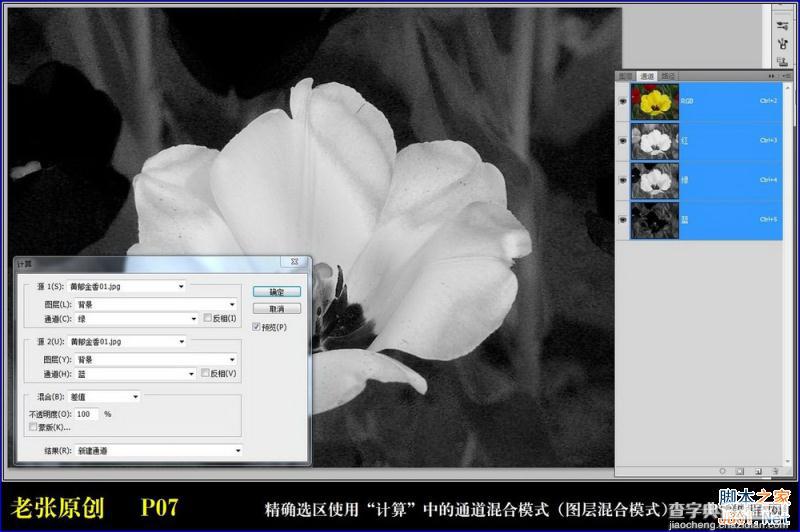 Photoshop通过计算命令无限改变花的颜色图文教程7