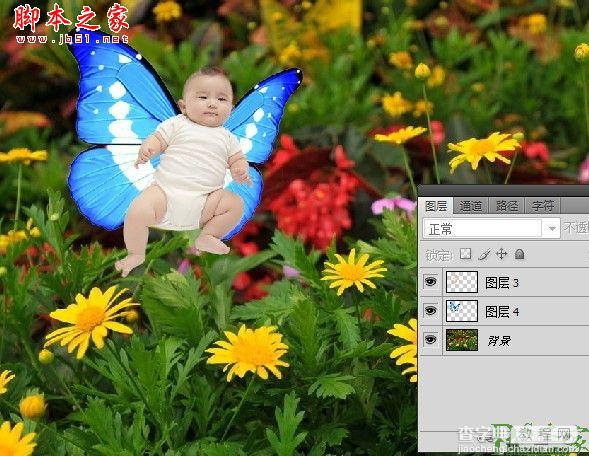 photoshop为宝宝写真照增加动态蝴蝶翅膀特效5