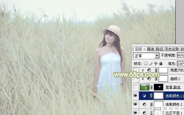 Photoshop将芦苇美女图片打造非常淡雅的冷色调22