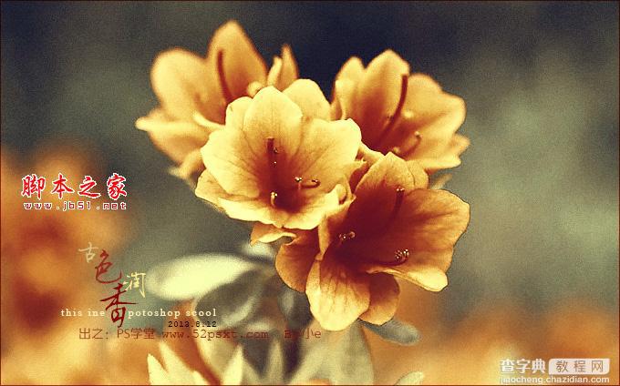 Photoshop将花卉特写图片打造具有古典韵味的黄褐色效果2
