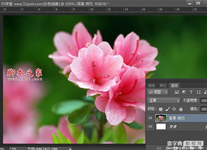 Photoshop将花卉特写图片打造具有古典韵味的黄褐色效果3