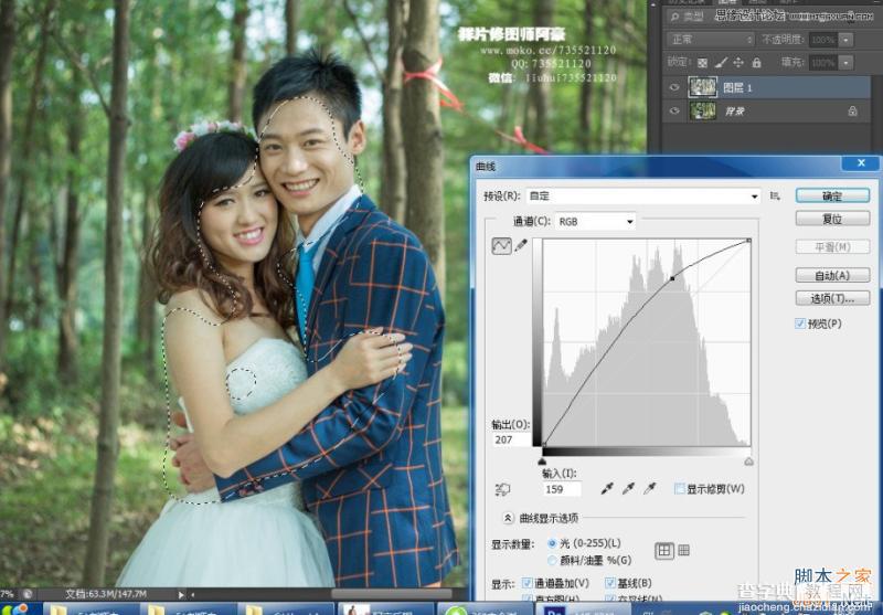 Photoshop给树林中外景婚片后期调出小清新色调6