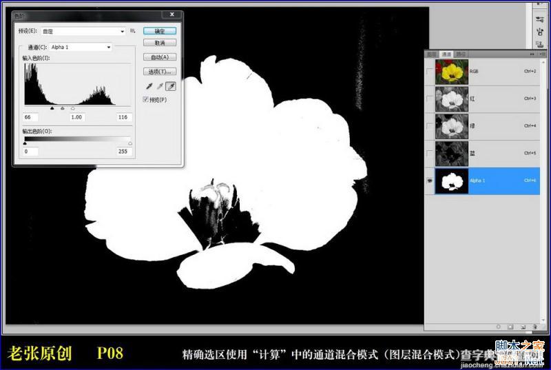 Photoshop通过计算命令无限改变花的颜色图文教程8