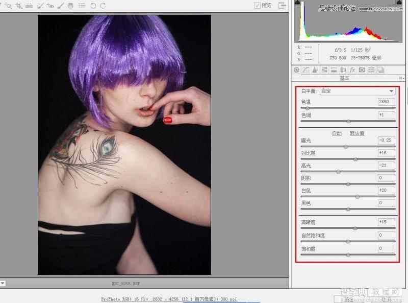 Photoshop调出欧美人像模特金属质感的完美肤色效果3