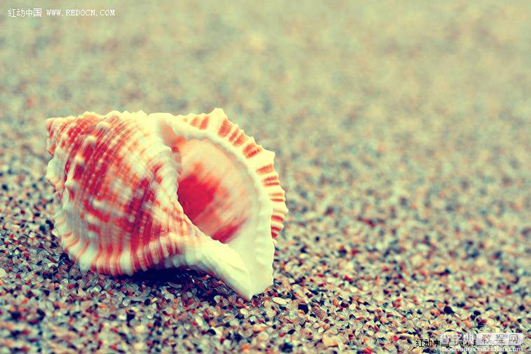 Photoshop调出诗意的沙滩贝壳23