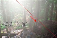 Photoshop为偏暗的森林图片增加柔和的透射阳光效果4