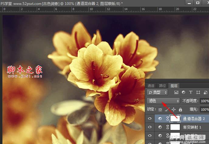 Photoshop将花卉特写图片打造具有古典韵味的黄褐色效果20